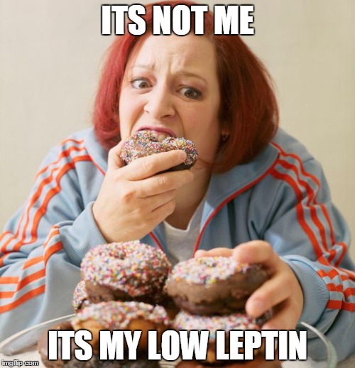 leptin-its-not-me
