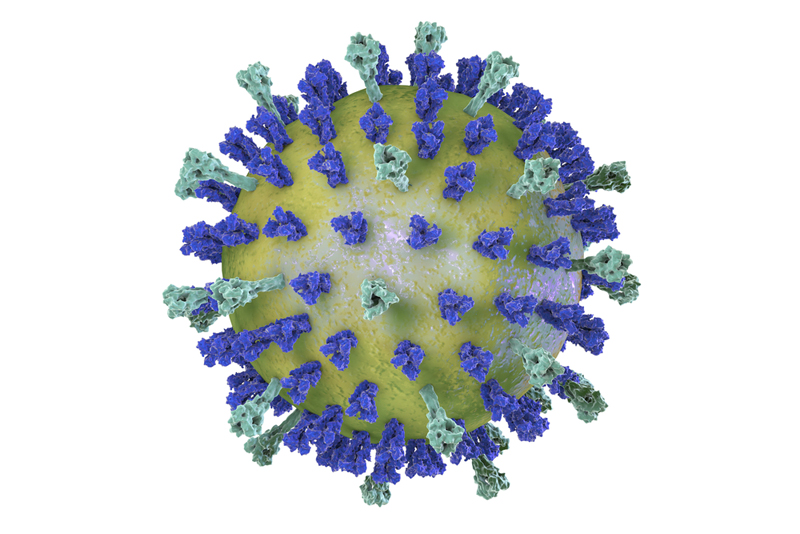 coronavirus-spike-protein